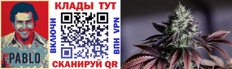 ГАШ Шебекино