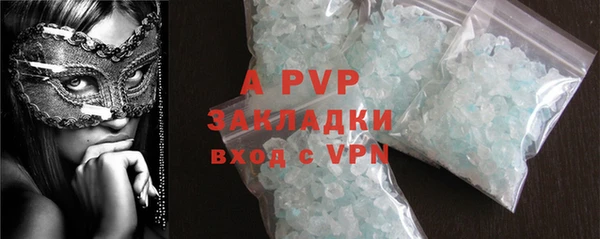 стафф Белокуриха