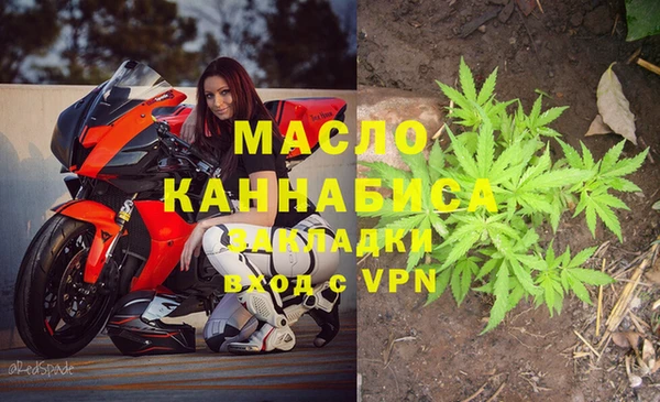 стафф Елизово
