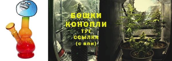 не бодяженный Беломорск