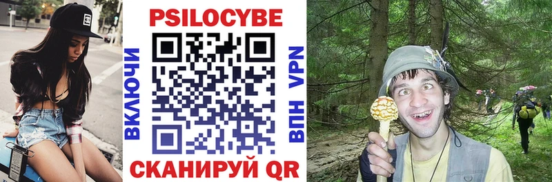 Галлюциногенные грибы прущие грибы  Шебекино 