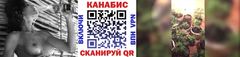 купить наркотики цена  Шебекино  Бошки марихуана Amnesia 